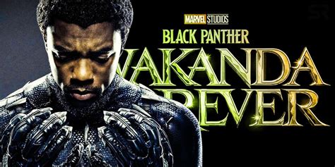 black panther: wakanda forever torrentz|black panther wakanda forever torrent español.